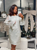Robe Princesse Blanche